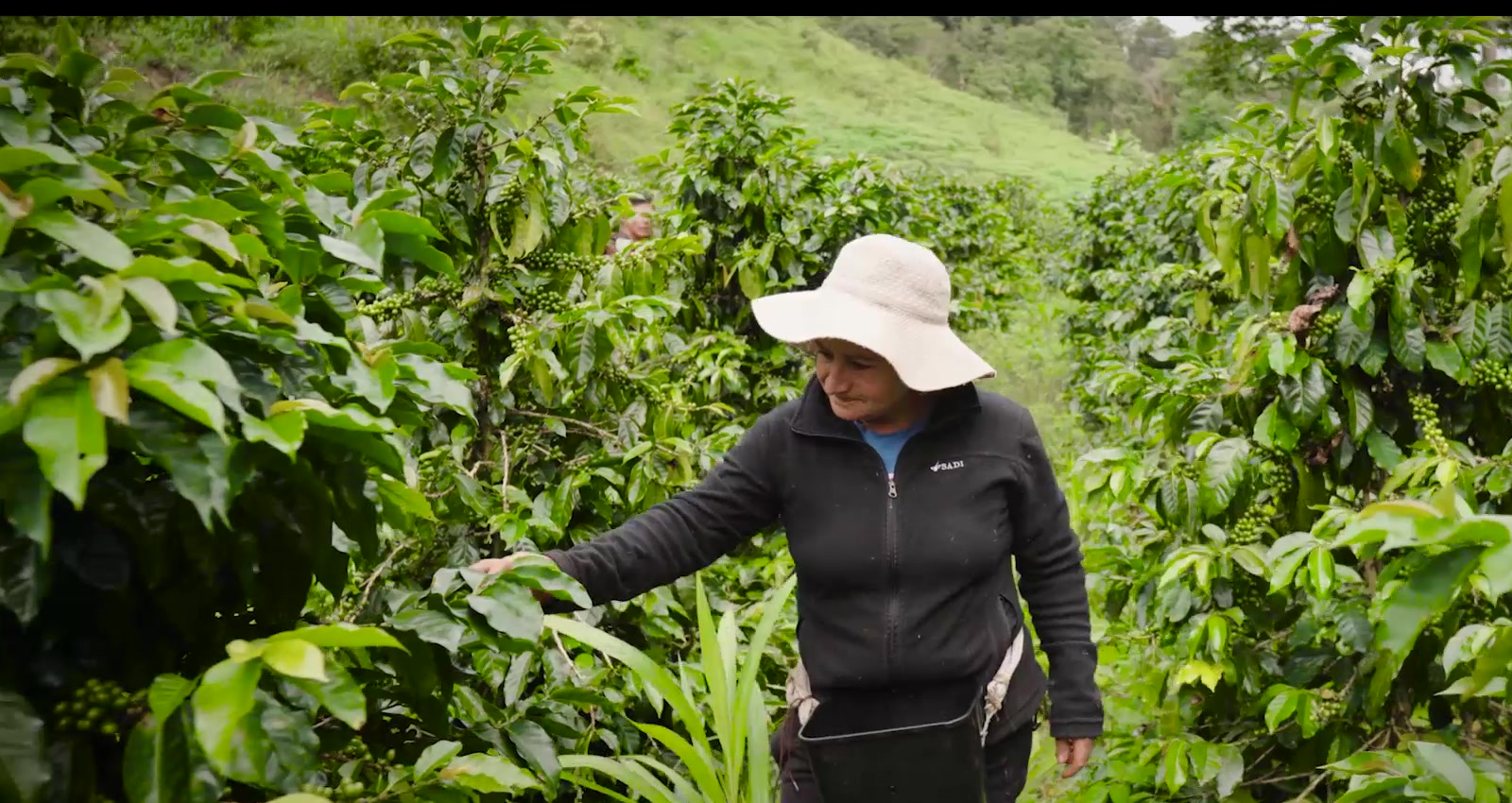 Productora en cafetal, Alto Mayo, San Martín